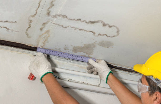 Reliable Burst Pipe Cleanup contractor in Iona, FL by Water Damage Irwin